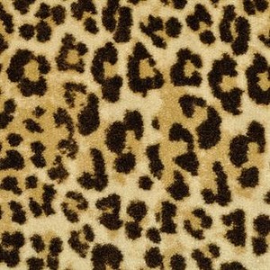 Leopard Big Cat